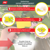 PIC Gelbfalle (Gelbtafel, Gelbsticker)