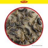 Aeroxon Ungeziefer Köder Falle