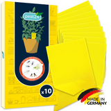 pest24 Gelbsticker - 10x Gelbtafel