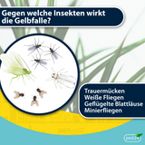 pest24 Gelbsticker - 10x Gelbtafel