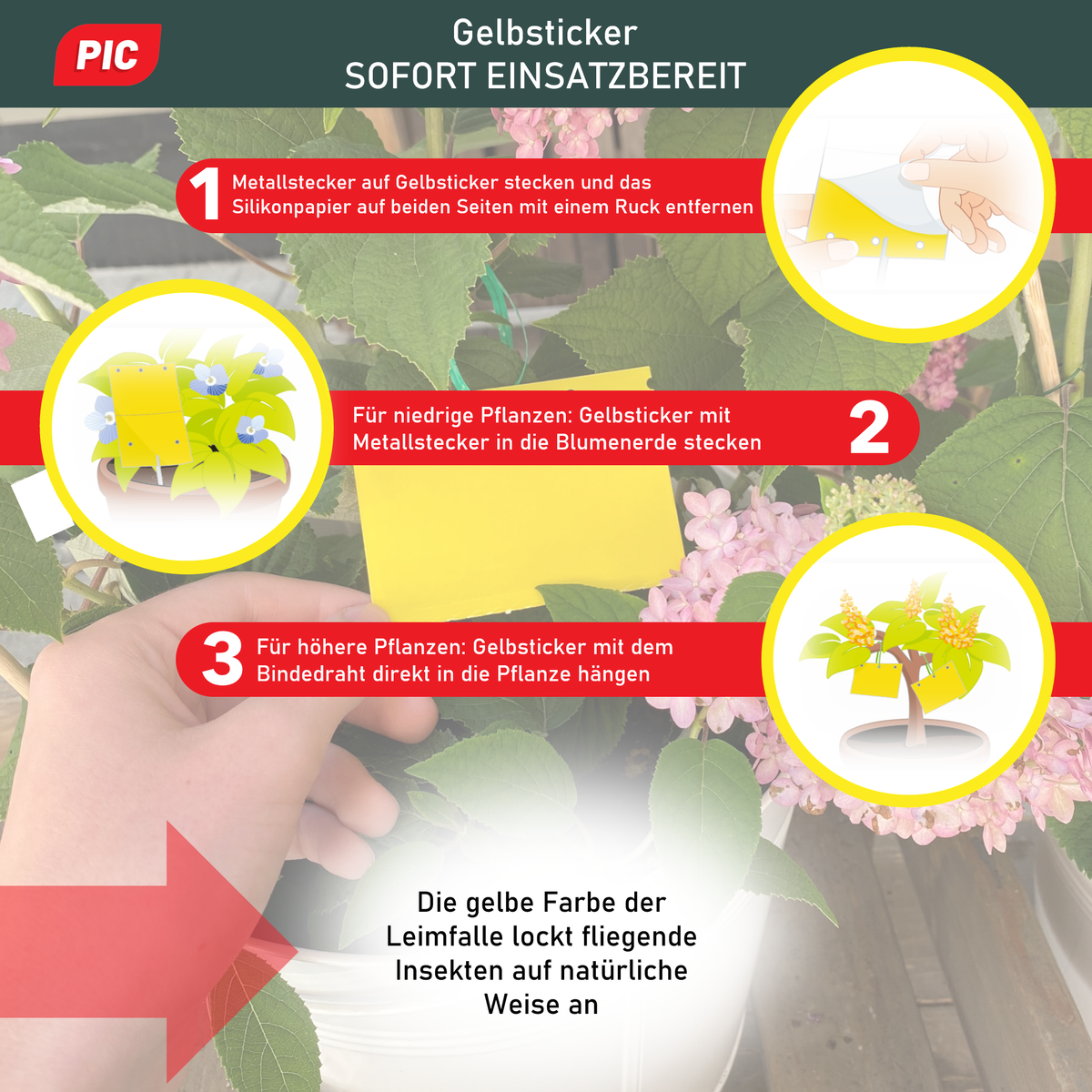 PIC Gelbfalle (Gelbtafel, Gelbsticker)