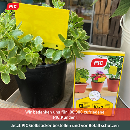 PIC Gelbfalle (Gelbtafel, Gelbsticker)