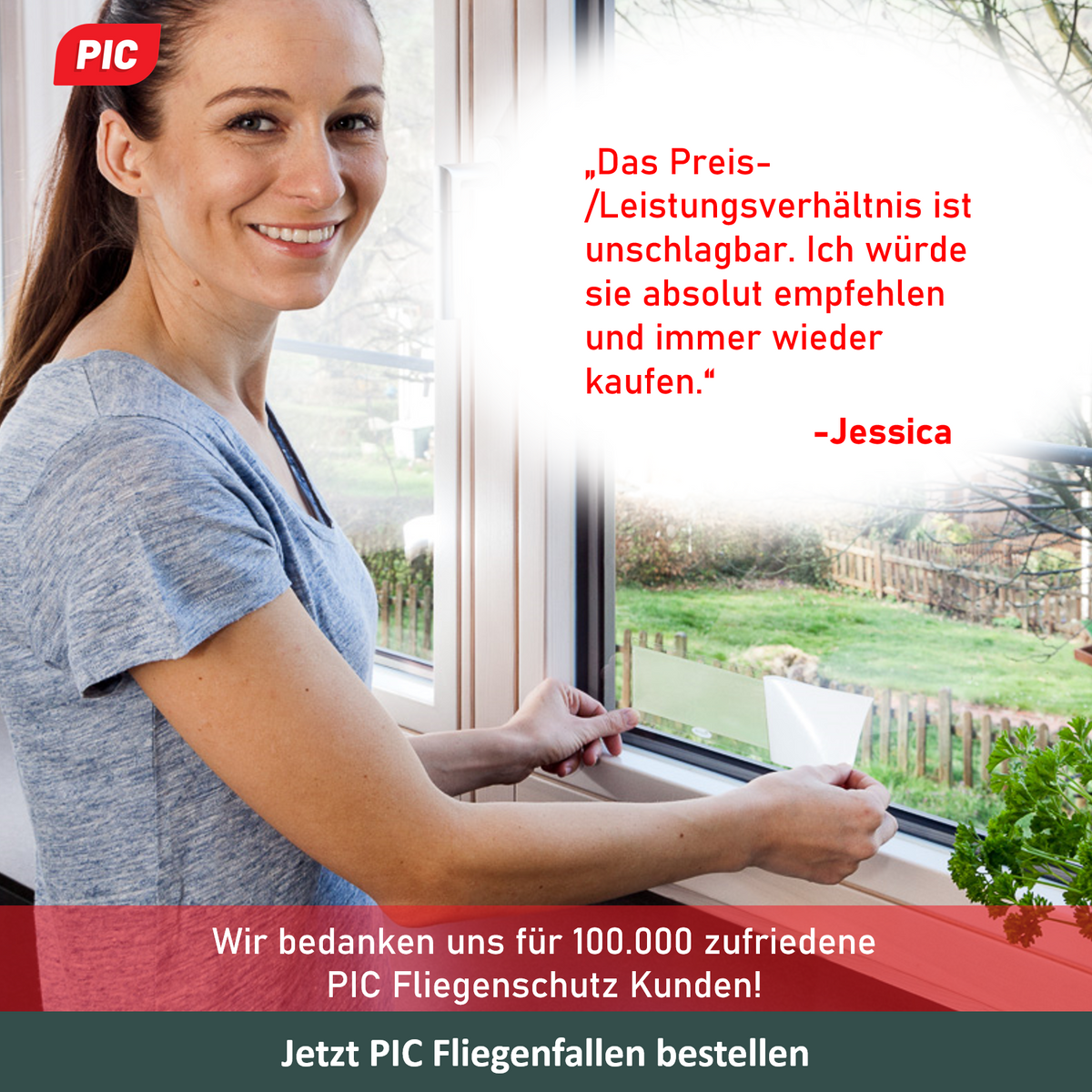 PIC Fenster Fliegenfalle