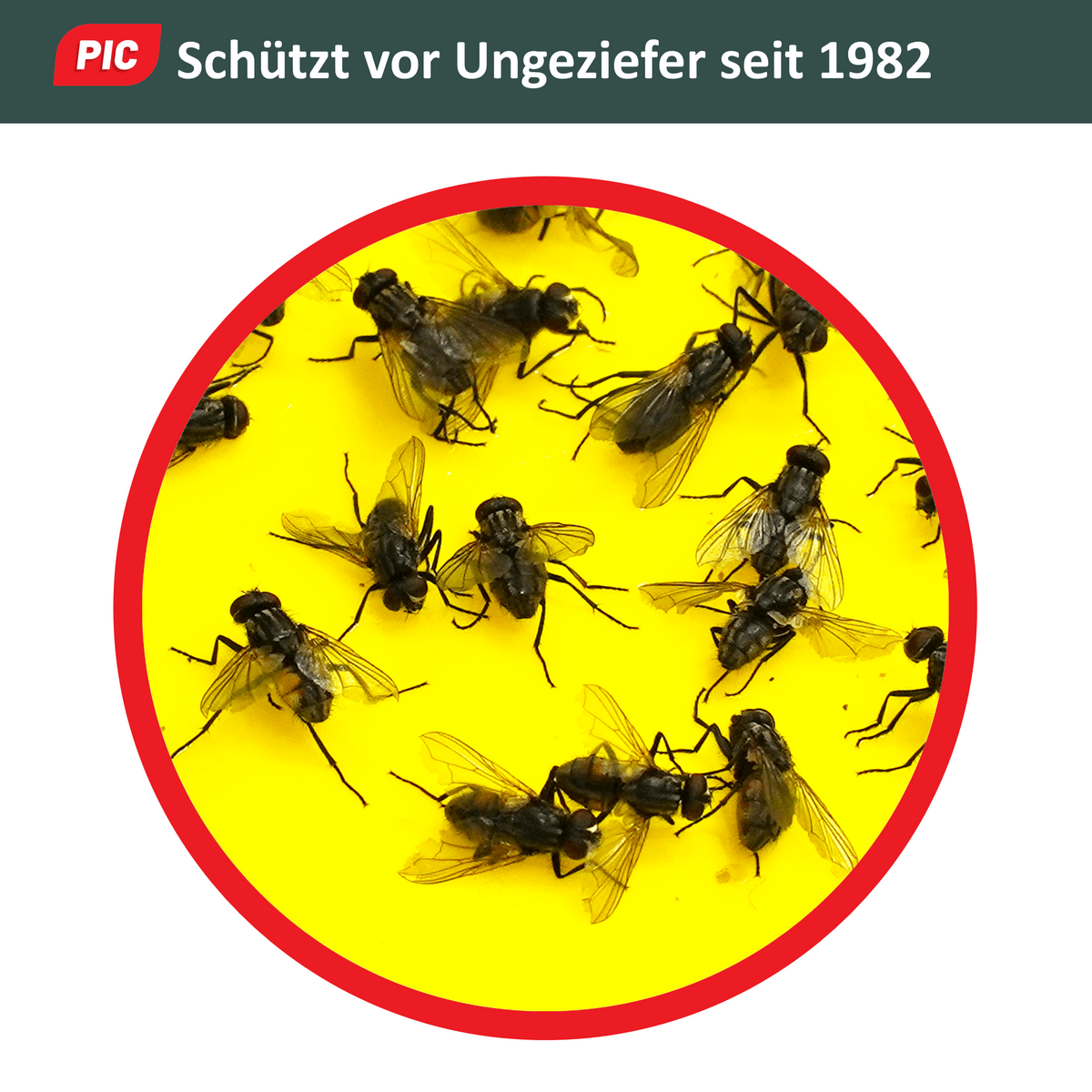PIC Gelbfalle (Gelbtafel, Gelbsticker)
